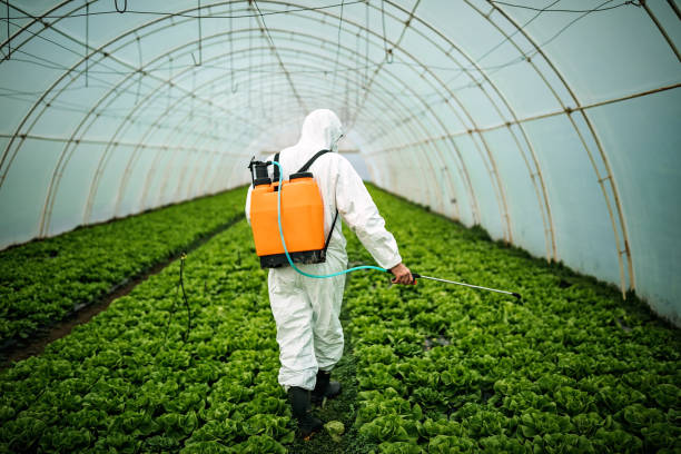 Best Pest Removal Services  in Enumclaw, WA