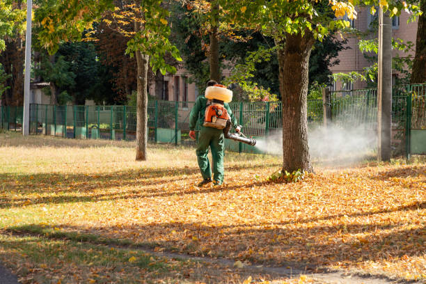 Best Mosquito Control Services  in Enumclaw, WA